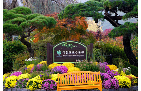 오피투어 핫플레이스 가평아침고요수목원