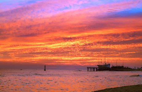 오피투어 핫플레이스 강원정동진