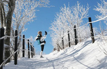 오피투어 강원설악산 국립공원