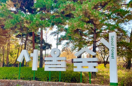 오피투어 핫플레이스 서울서울숲공원